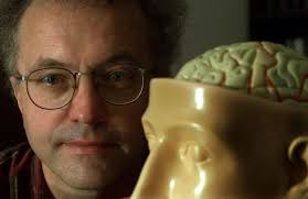 Stimulating The Brain Reduces Intention To Commit Violence And Sexual  Assault