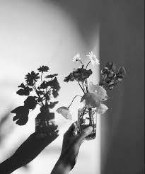 Maybe you would like to learn more about one of these? Flowers And Shadow Black And White Picture Wall Black And White Photo Wall Black And White Aesthetic