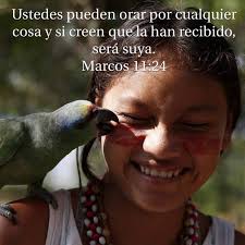 Misión Cristiana Elim