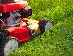 Leons landscape, arredondo landscape maintenance, llc, new era landscape, llc, the mowpros landscape maintenance, oswego yard care. Dreams Come True Landscaping