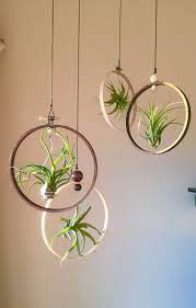 X4 Hanging Plant Holder Gift For Plant Lover Indoor Plant Holder Housewarming Gift For Woman Plant Hanger Gift For Mom From Son Air Plants Decor Hanging Air Plants Plant Decor