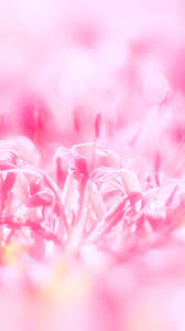 A cute pink background gives the feeling of springtime flowers, and all things fresh and new with somewhat of a calming effect. 30 Hd Pink Iphone Wallpapers