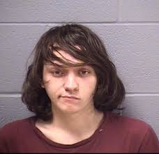 Weekend In Will County Jail Dec. 28 Edition