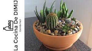 ¿quieres ser parte de una comunidad online de decoración? Maceta De Suculentas Y Cactus Dyi Youtube