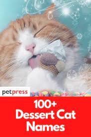 Here's 500 cute puppy names to get you started. 100 Dessert Cat Names Yummy Name Ideas For Your Kittens