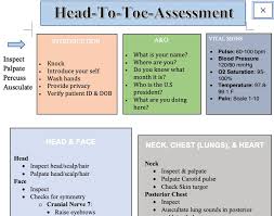 Head To Toe Assessment Guide Nursing Students Health Etsy Nursing Assessment Nursing Study Guide Nursing Students