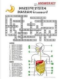 Do you have an elusive clue? 10 Best Bio 524 Images In 2020 Biology Classroom Biology Notes Science Notes