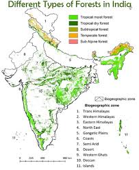 The classification is based on the geographical location and types of vegetation found. What Are The Different Types Of Forests In India