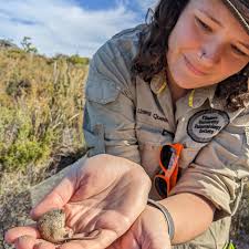 Our herp (frogs and reptiles) team of Paul Doughty, Kailah Thorn and Ryan  Ellis, have been busy checking traps in Mandoowernup (Cape Le Grand  National Park). Many of the species here are