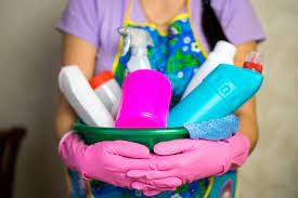 What Is Included In A Professional House Cleaning Checklist House Cleaning Services Palmer