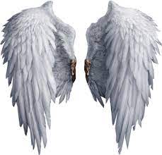 Angel Wings Wings Png Images Transparent Free Download Free Transparent Png Logos