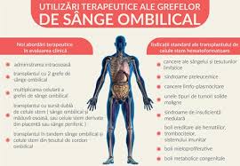 Adevarul despre celulele stem 4. Cord Blood Center Qbebe Ro