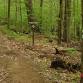 National Trails Day Walk