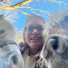 Are Silver Dollar City pins still being made and collected?