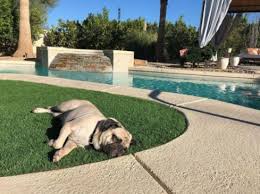 With the help of owner direct vacation rentals software, our system helps you search for all available cape cod vacation rentals that will accept pets during your specified dates. Turnkeyvr Turnkeyvr Twitter