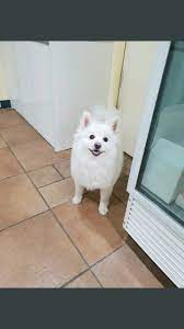 · he lives with rm's parents. Kim Namjoon Rm Monie Facebook