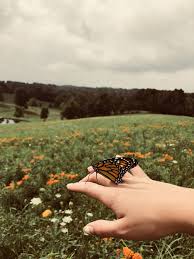 Emmahooper04 Aesthetic Pictures Aesthetic Photography Summer Aesthetic Everything is of high quality & can be used for your.