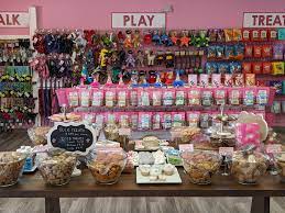 Woof Gang Bakery Carrollwood Has Some Delicious Decorated And Iced Treats Available Stop By To Spoil Your Pups Today In 2021 Spoil Yourself To Spoil Bakery