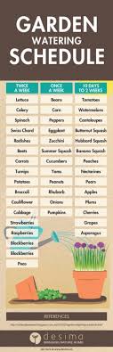 How much sun is needed? Sunlight Requirements Vegetables Require Infographic The Whoot