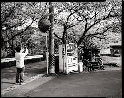 大判 カメラ 作例