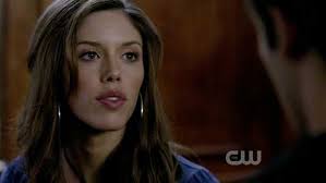 Vicki Donovan : personnage de la série