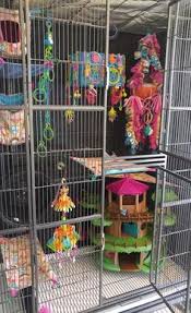 30 Sugar Glider Cage Ideas Sugar Glider Cage Sugar Glider Gliders