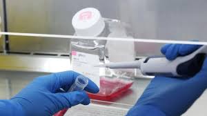 Gold coast brisbane sunshine coast. New Coronavirus Case Confirmed For Sunshine Coast Sunshine Coast Daily