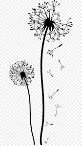 Dandelion black and white clipart. Black And White Flower Unlimited Download Cleanpng Com Dandelion Drawing Flower Drawing White Flower Png
