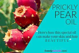 It's a lot like argan oil but better in every way. 10 Beauty Benefits Of Prickly Pear Oil For Skin Hair Beautymunsta Free Natural Beauty Hacks And More