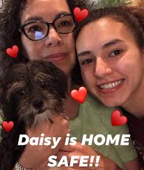 Lost husky mix Daisy behind LCC in SW Lincoln