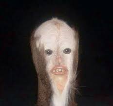 Face Reveal Dank Memes Amino