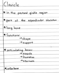 Clavicle Medical School Studying Nursing School Notes Medical Student Study