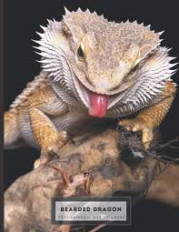 To do this, simply press the key mix and select the. Bearded Dragon 2021 Calendar And Notebook Dual Layout Months And College Ruled Line Paper Great Gift Idea Nielsen Ava O 9798691934971 Amazon Com Books
