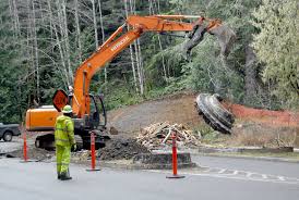 The vancouver lake watershed partnership was formed in 2004 by clark county, port of vancouver, city of vancouver and fruit valley neighborhood association. Community News Briefs March 31 2021 Sequim Gazette