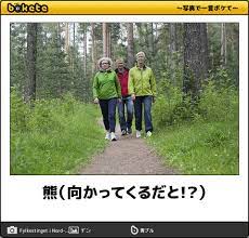 熊 向かってくるだと おかしな写真 面白い画像 写真で一言ボケて