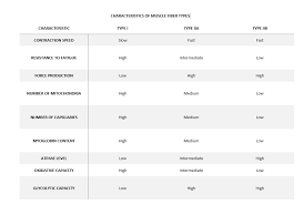 Whats The Difference Between Fast And Slow Twitch Muscle