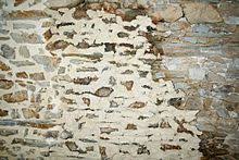 As long as you don't go splashing it around and use too much, it's not that toxic. Lime Mortar Wikipedia
