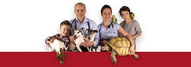 Maybe you would like to learn more about one of these? Dewinton Pet Hospital Pet Care Just Outside South Calgary