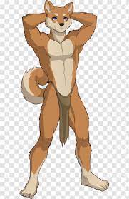 Lion Red Fox Boy Loincloth Fur - Vertebrate Transparent PNG