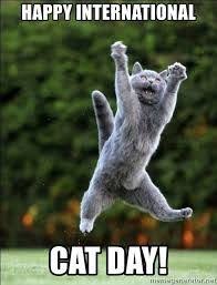 Happy international cat day!#internationalcatday pic.twitter.com/vrtmfqiyde. 43 International Cat Day Ideas In 2021 International Cat Day Cat Day Cats