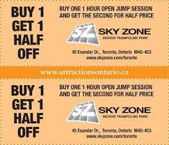 Enjoy Up To 41 Off With Sky Zone Coupon Codes 2016 Or Promo Code At Promo Code Land Com Sky Zone Coding Promo Codes