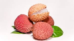 Tanaman jenis ini dapat tumbuh sekitar 2 sampai 3 kaki. Delapan Jenis Buah Dan Sayur Yang Mengandung Racun
