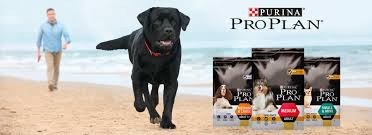 Our criteria include ingredients, quality, customer experience, recall history, working with veterinary nutritionists to formulate the food, nutritional standards, research, and price. 2021 Pro Plan Dog Food Review The Best Nutrition For Pets