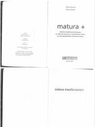 Prirucnik Hrvatskog Za DRZ Maturu | PDF