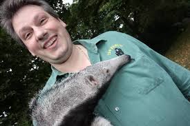 8 Tierportrait: Ameisenbär Baby Adolpho auf dem Arm von Pfleger Thomas  Messinger, im Berliner Zoo