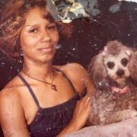 Search Paulette Harris Obituaries and Funeral Services