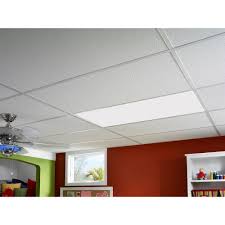 Kitchen zone commercial tiles from armstrong ceiling solutions. 23 75 In X 47 75 In Clear Prismatic Acrylic Lighting Panel 5 Pack Lp2448acp 5 The Home Depot