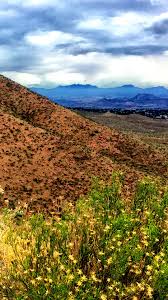 For any occasion, diana's flower shop's floral designers will create the best arrangements their clients. Franklin Mountains View With Yellow Wild Flowers El Paso Texas Usa Windows 10 Spotlight Images