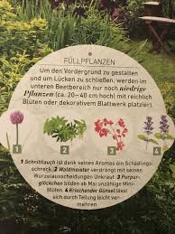 Pin Von Marianne Frei Mann Auf Garten Pflanzen Waldmeister Unkraut