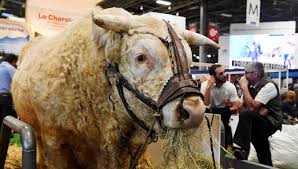 Week of the french agriculture. Infographie Salon De L Agriculture Les Chiffres Clefs De L Edition 2020 Qui S Ouvre Ce Samedi